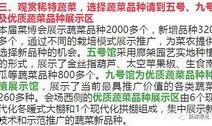 寿光最新爆料消息,揭秘背后惊人真相