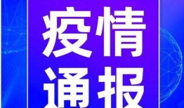 河南新冠爆料最新通知,多区调整防控措施，疫情动态持续关注