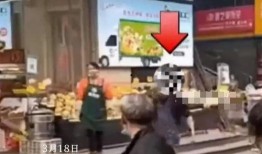 城管视频爆料大全最新,最新事件盘点与深度解析