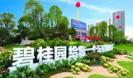 四川广安碧桂园爆料最新,揭秘项目疑云与业主维权真相