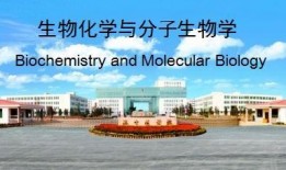 济宁医学院爆料事件最新,真相与争议交织的教育领域风波