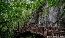神鹿峰景区最新爆料,探秘神秘仙境，尽享自然奇观