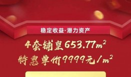 专家碧桂园爆料最新消息,专家解读行业动态与未来趋势