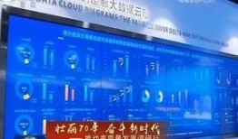 合肥爆料最新消息新闻报道,聚焦城市动态与民生焦点