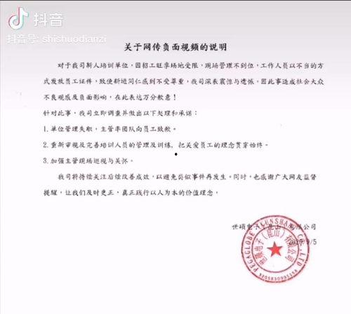世硕电子公司最新爆料,揭秘公司发展新动向与未来战略布局
