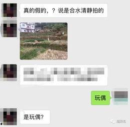 茂名真实爆料事件最新,揭开背后惊人真相